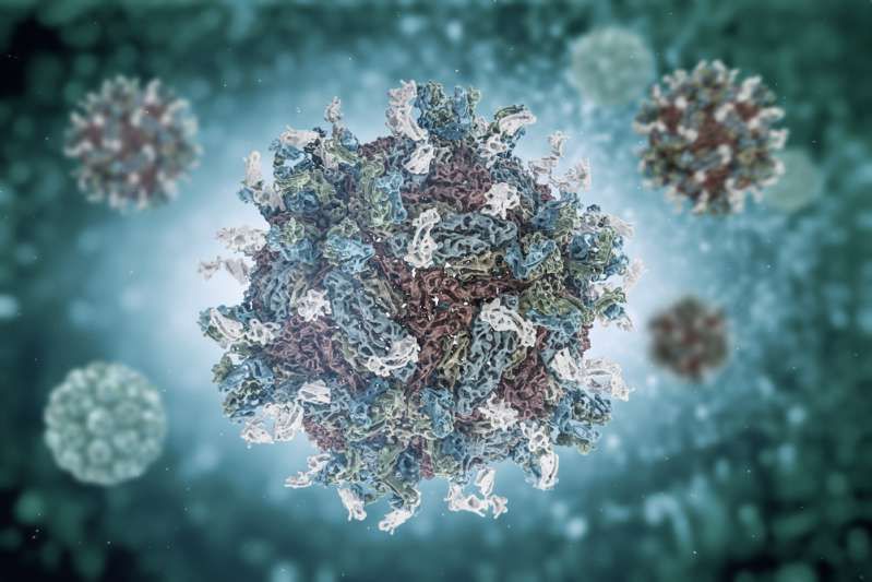 एपस्टीन-बार वायरस जो 2 साल तक चेर को डिसेबल करता है, किसी को भी हो सकता है: रोग के बारे में तथ्य और रोग की रोकथाम