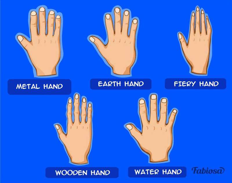 כף יד סינית: מה המשמעות של צורת היד שלך?