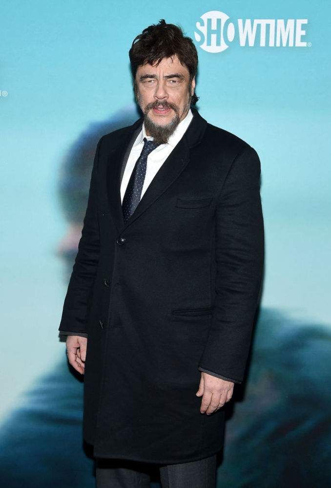 Benicio Del Toro i Kim Stewart tenen un fill junts però es divideixen quan Kim estava embarassada
