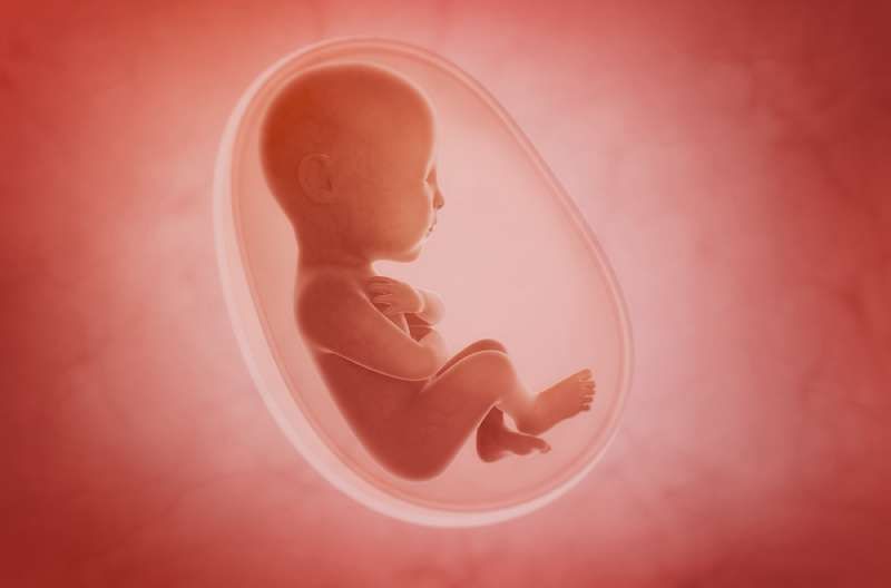 Tikrojo gyvenimo lėlė: mažiausia žodžio mergina, kuri gimė vos 10 colių, nepaiso visų medicininių šansų
