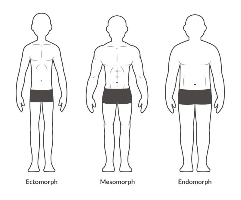 Ectomorph, Endomorph 및 Mesomorph : 체형은 무엇입니까? Ectomorph, Endomorph 및 Mesomorph : 체형은 무엇입니까? 유형 Ectomorph, Endomorph 및 Mesomorph : 귀하의 체형은 무엇입니까? Ectomorph, Endomorph 및 Mesomorph : 귀하의 신체 유형은 무엇입니까?